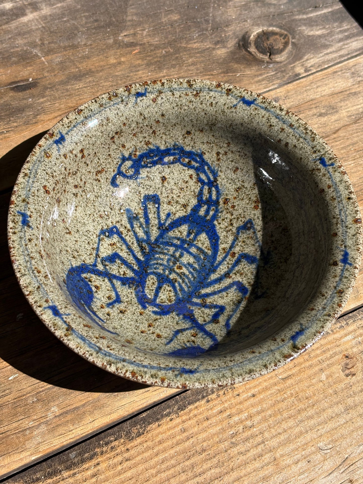 Scorpion with Barbed Wire bistro bowl