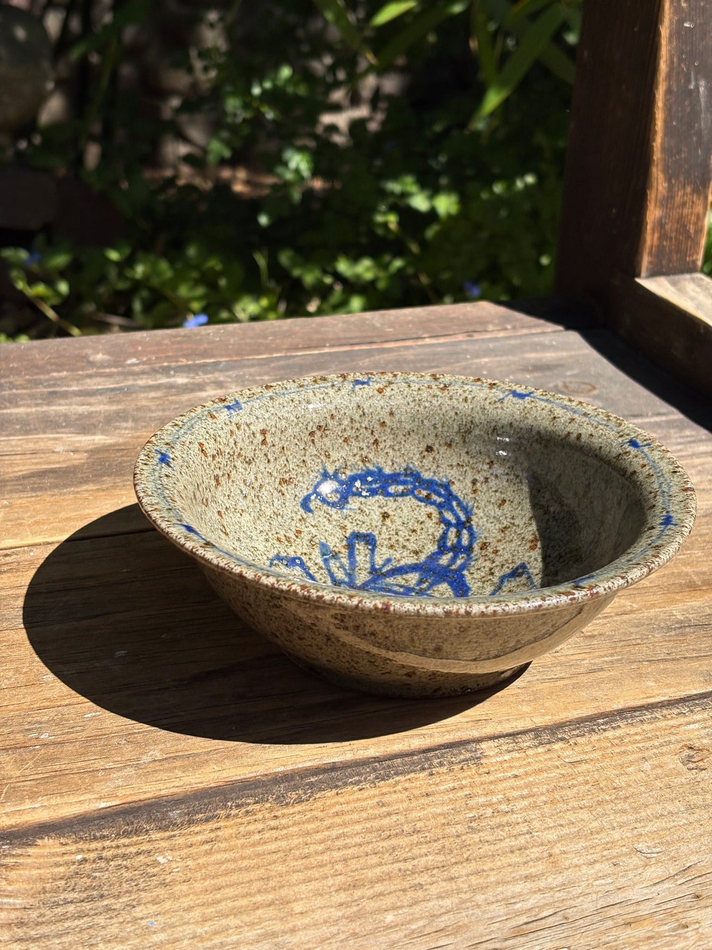 Scorpion with Barbed Wire bistro bowl
