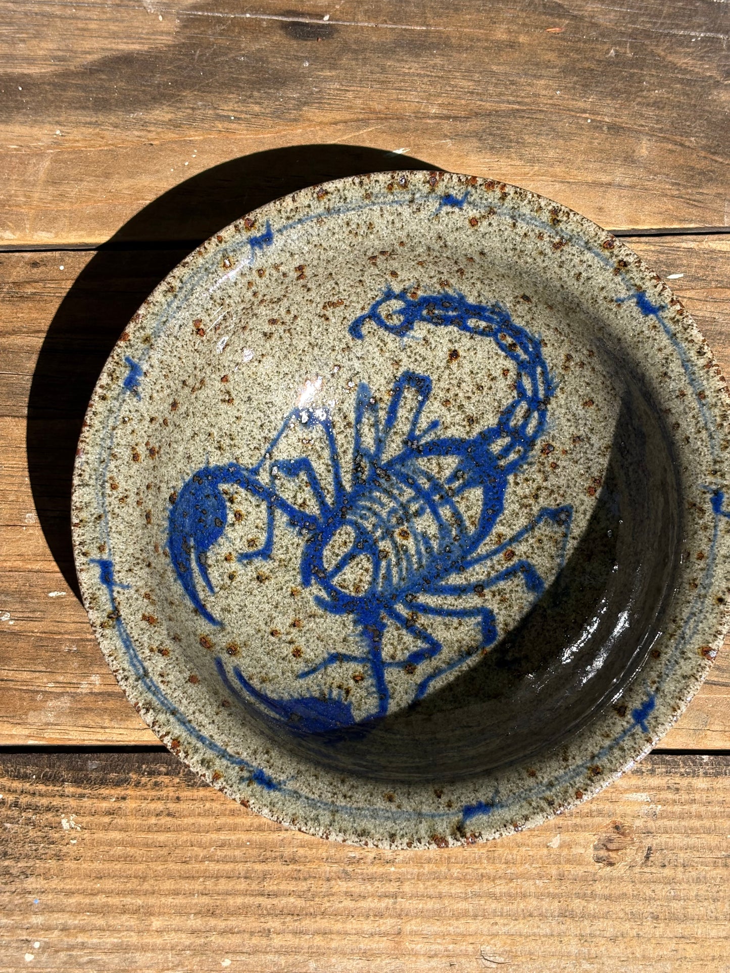 Scorpion with Barbed Wire bistro bowl