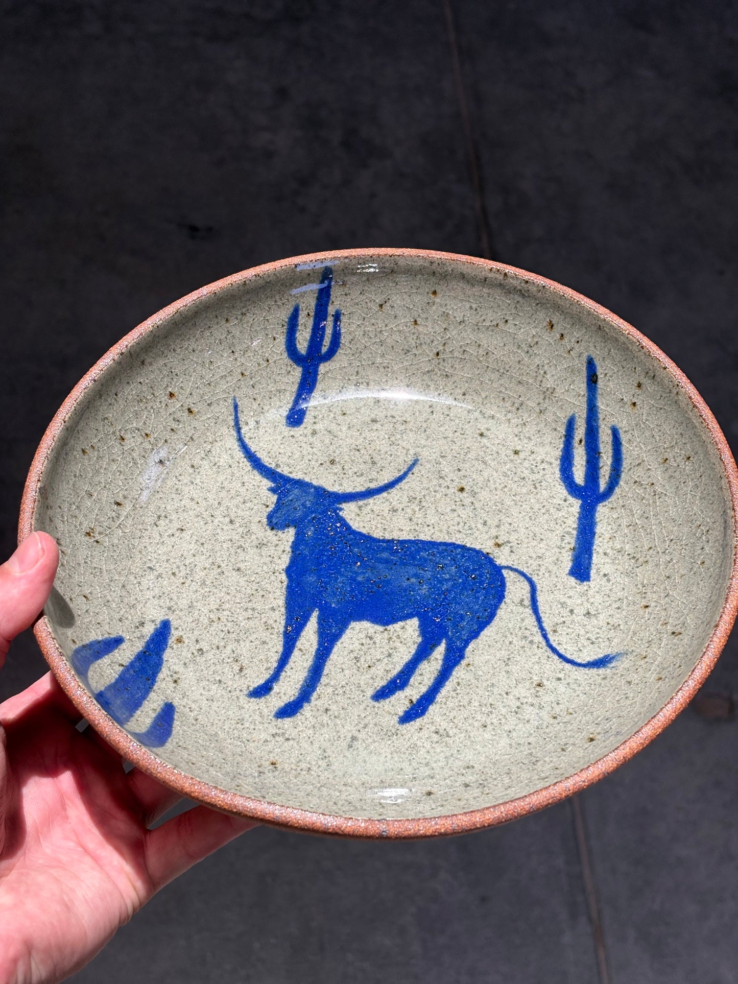 Bull and Cactus bowl