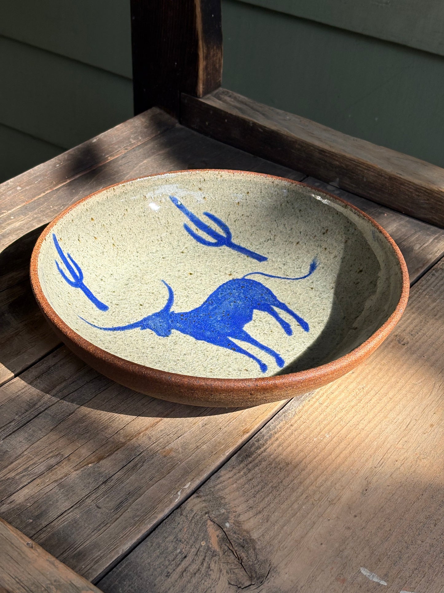 Bull and Cactus bowl