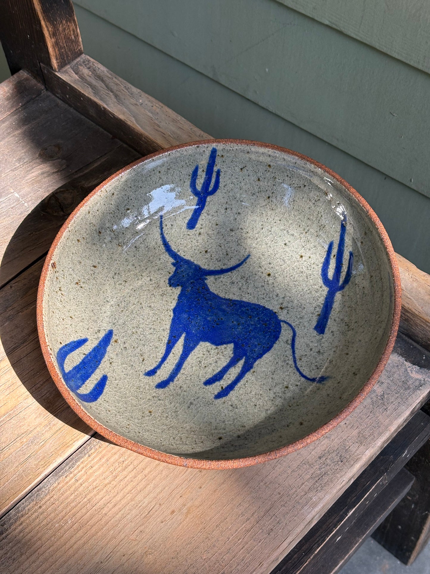 Bull and Cactus bowl