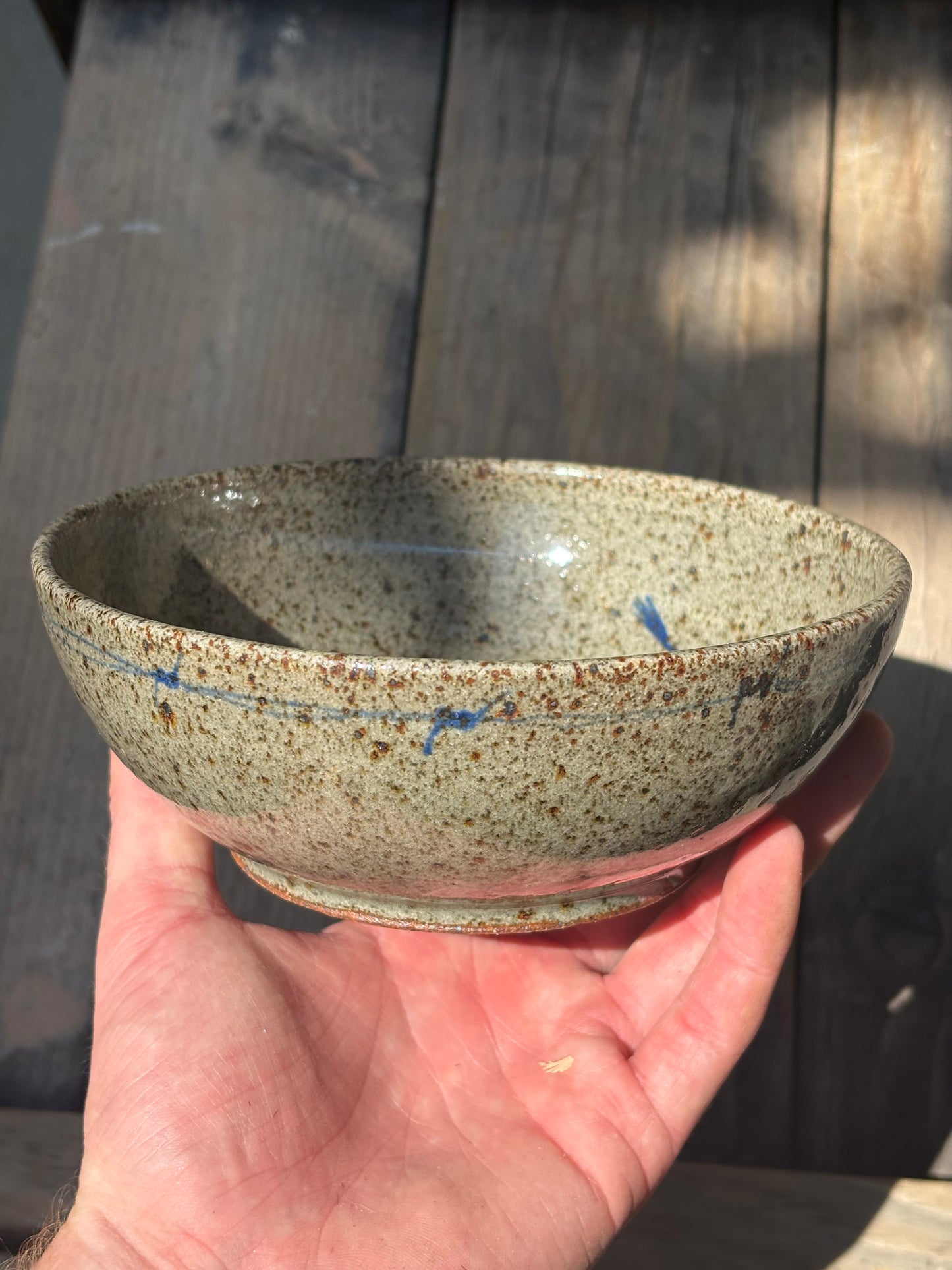 Bull with Barbed Wire bowl