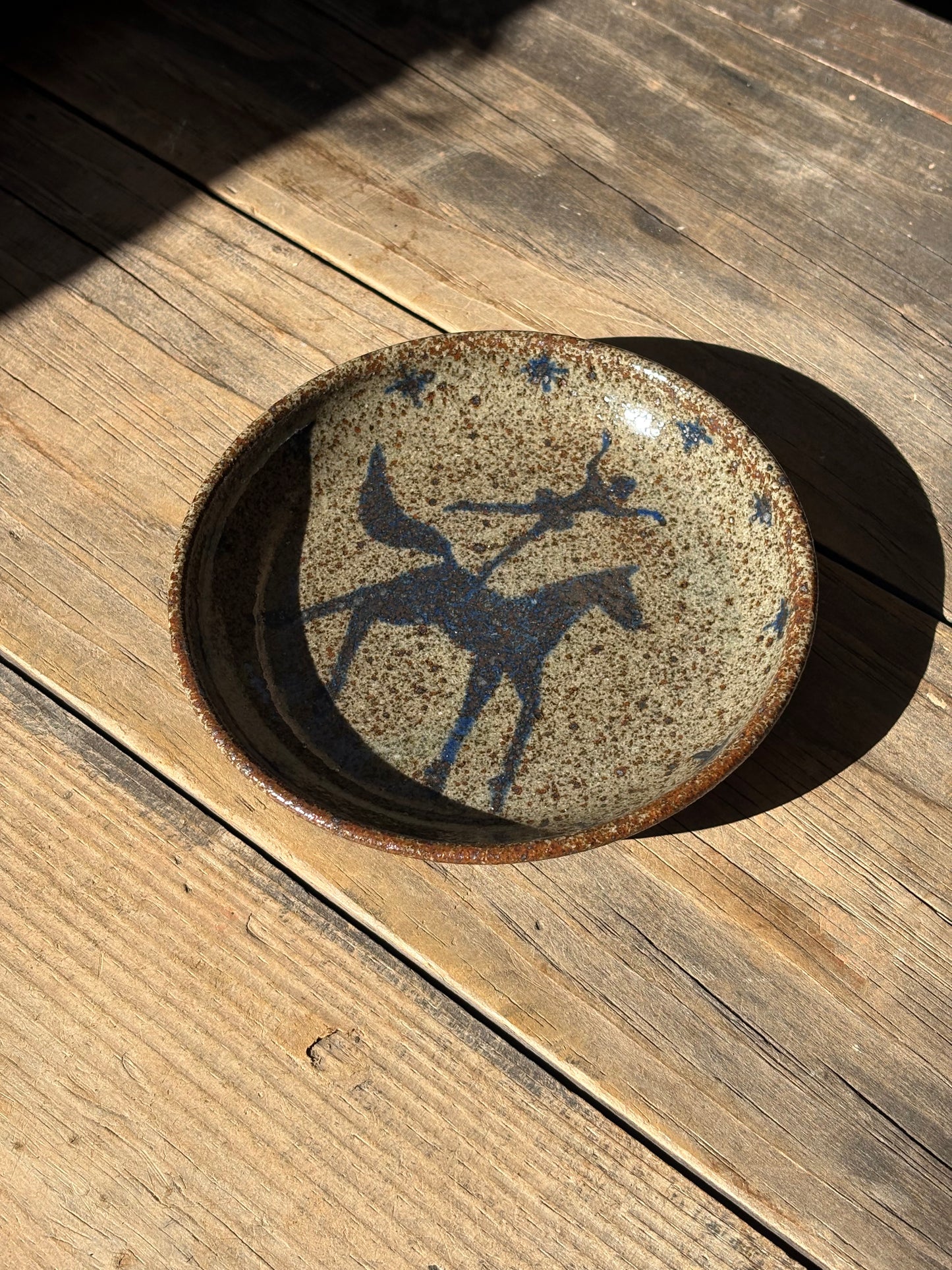 Voltige Rider catchall plate
