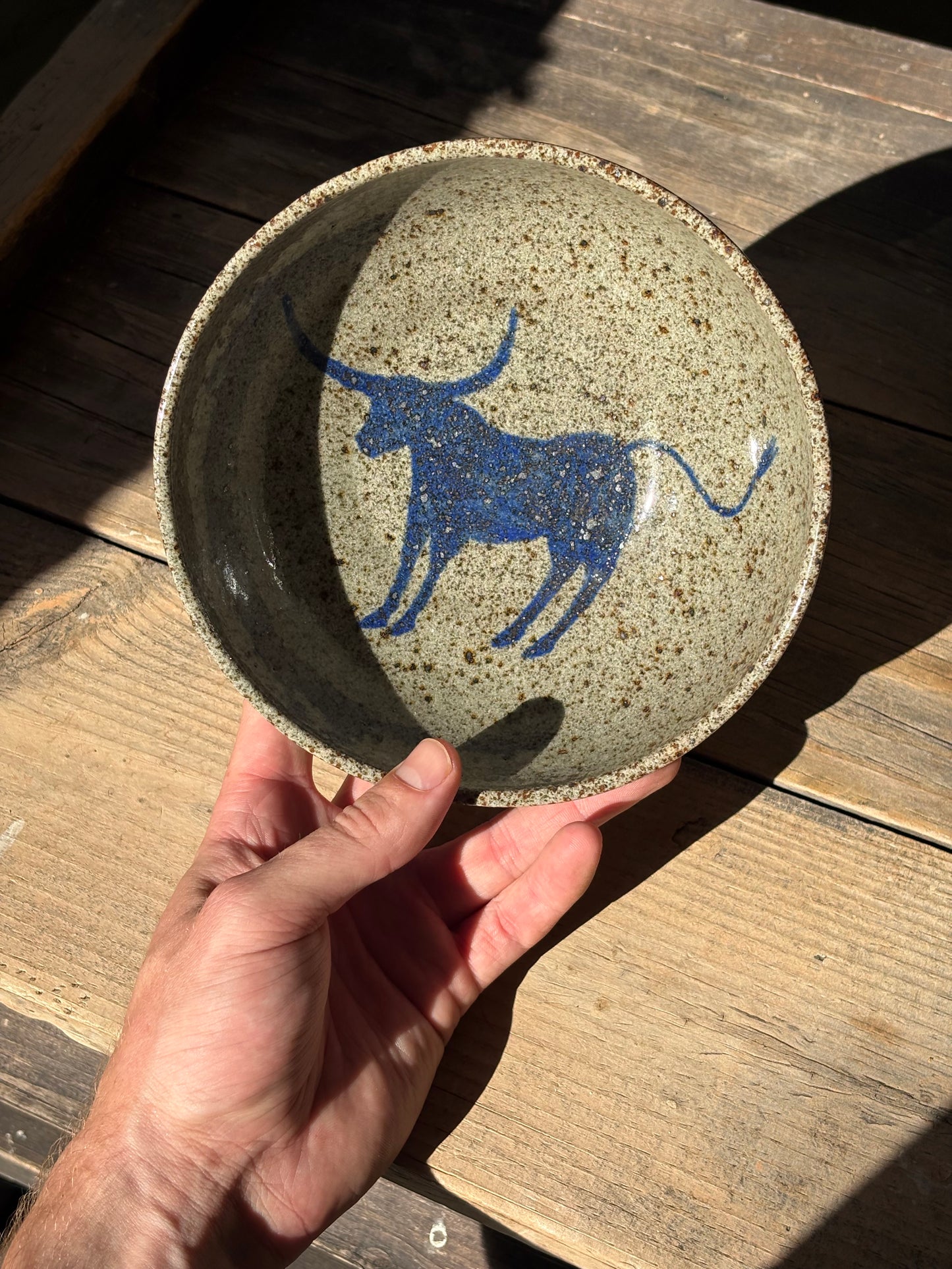 Bull with Barbed Wire bowl