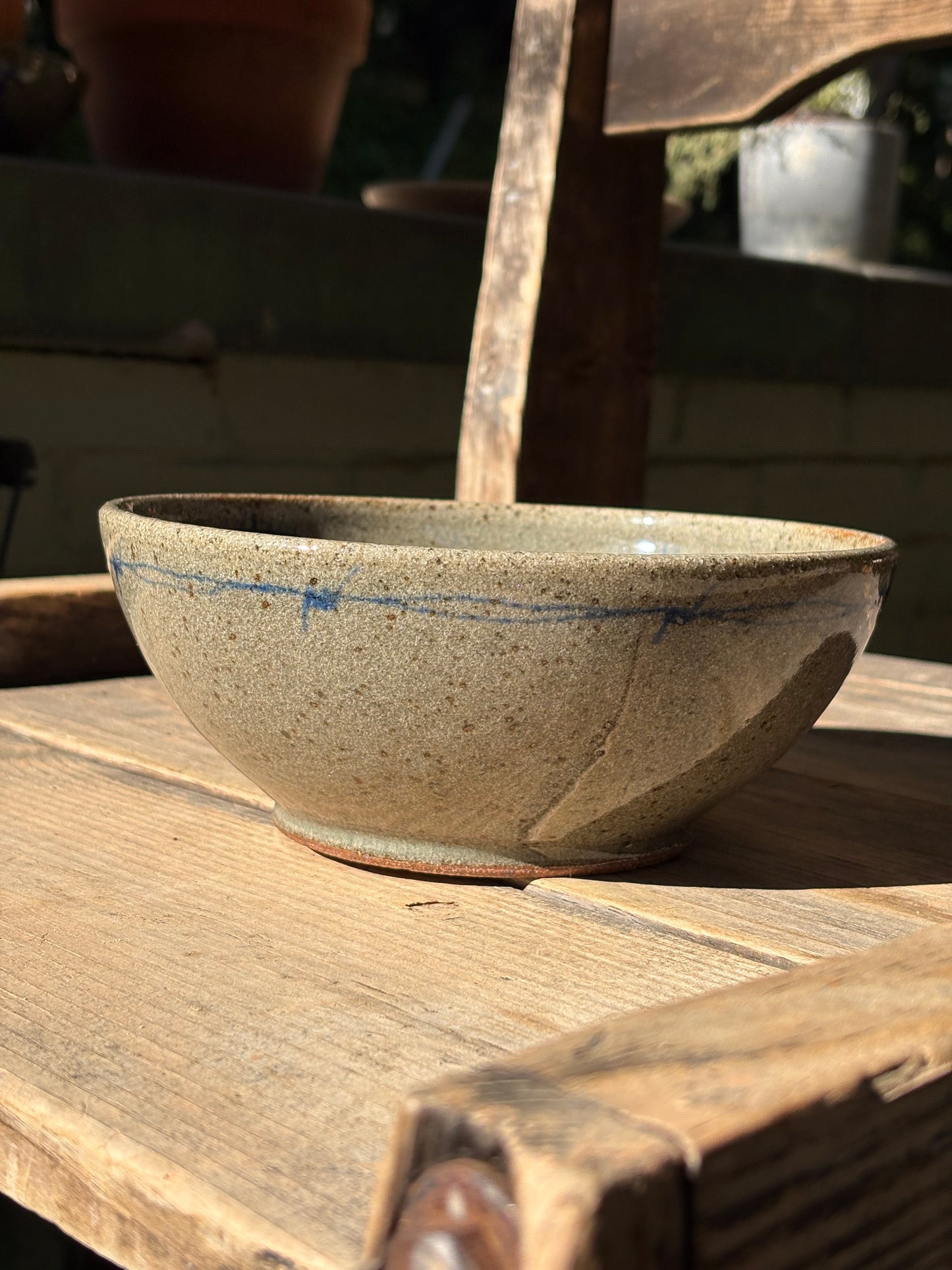 Scorpion and Barbed Wire bowl