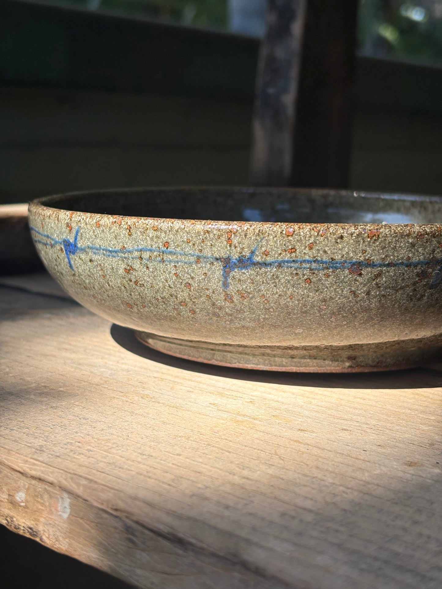 Bull and Barbed Wire bowl