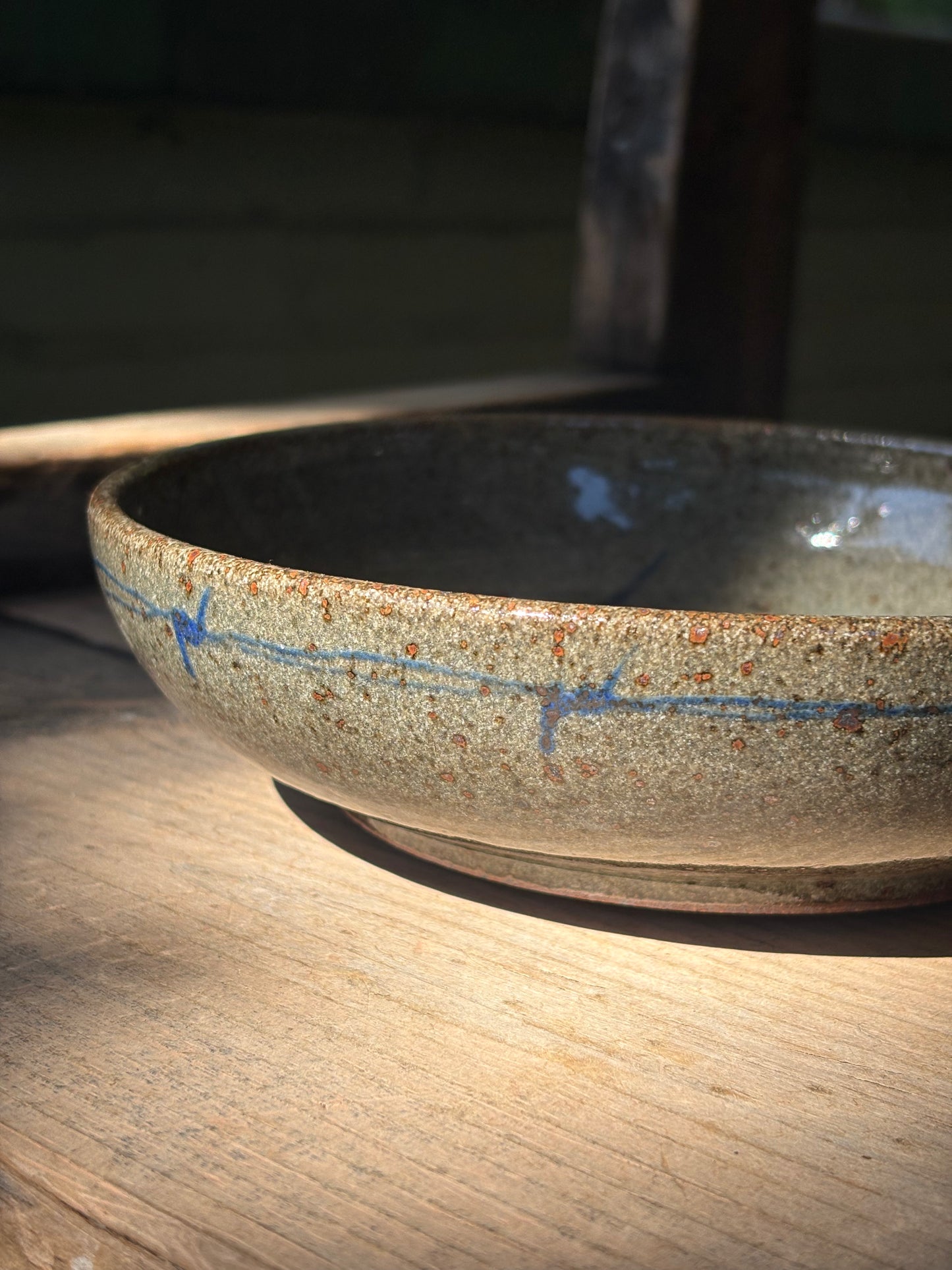 Bull and Barbed Wire bowl