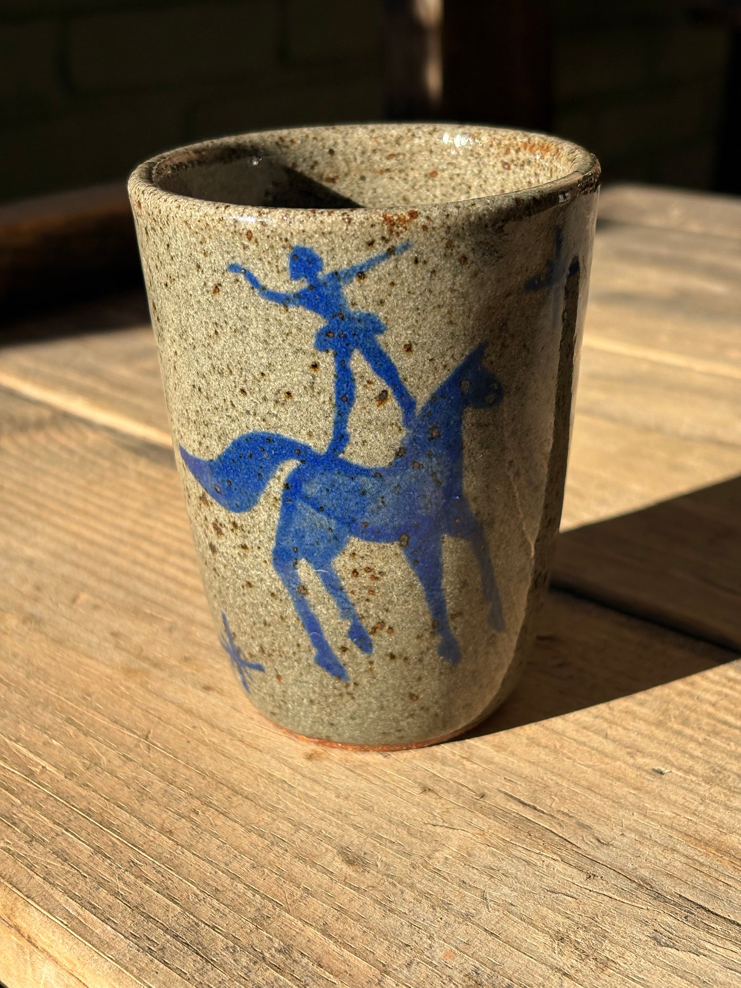 Voltige Riders cup