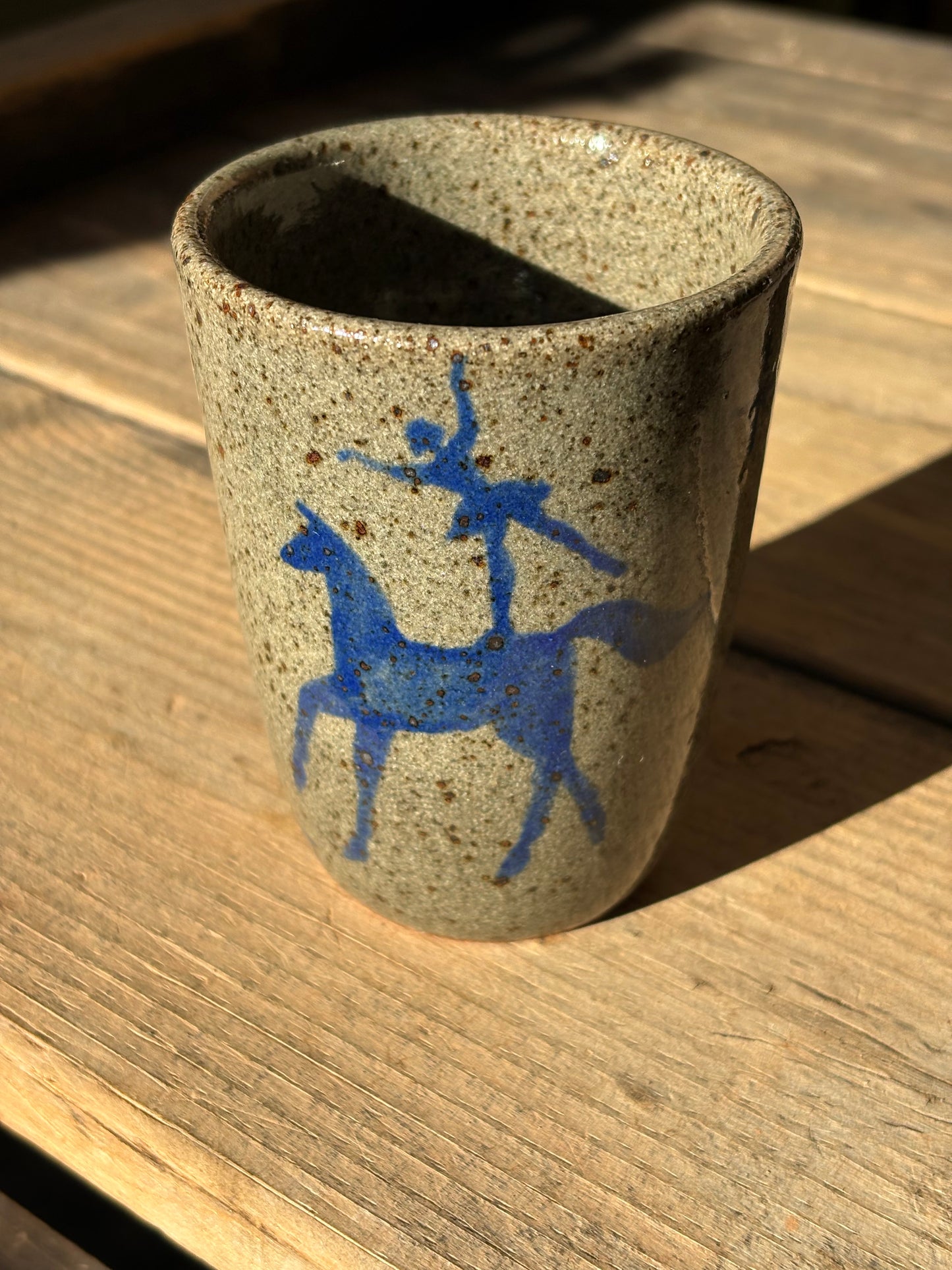 Voltige Riders cup