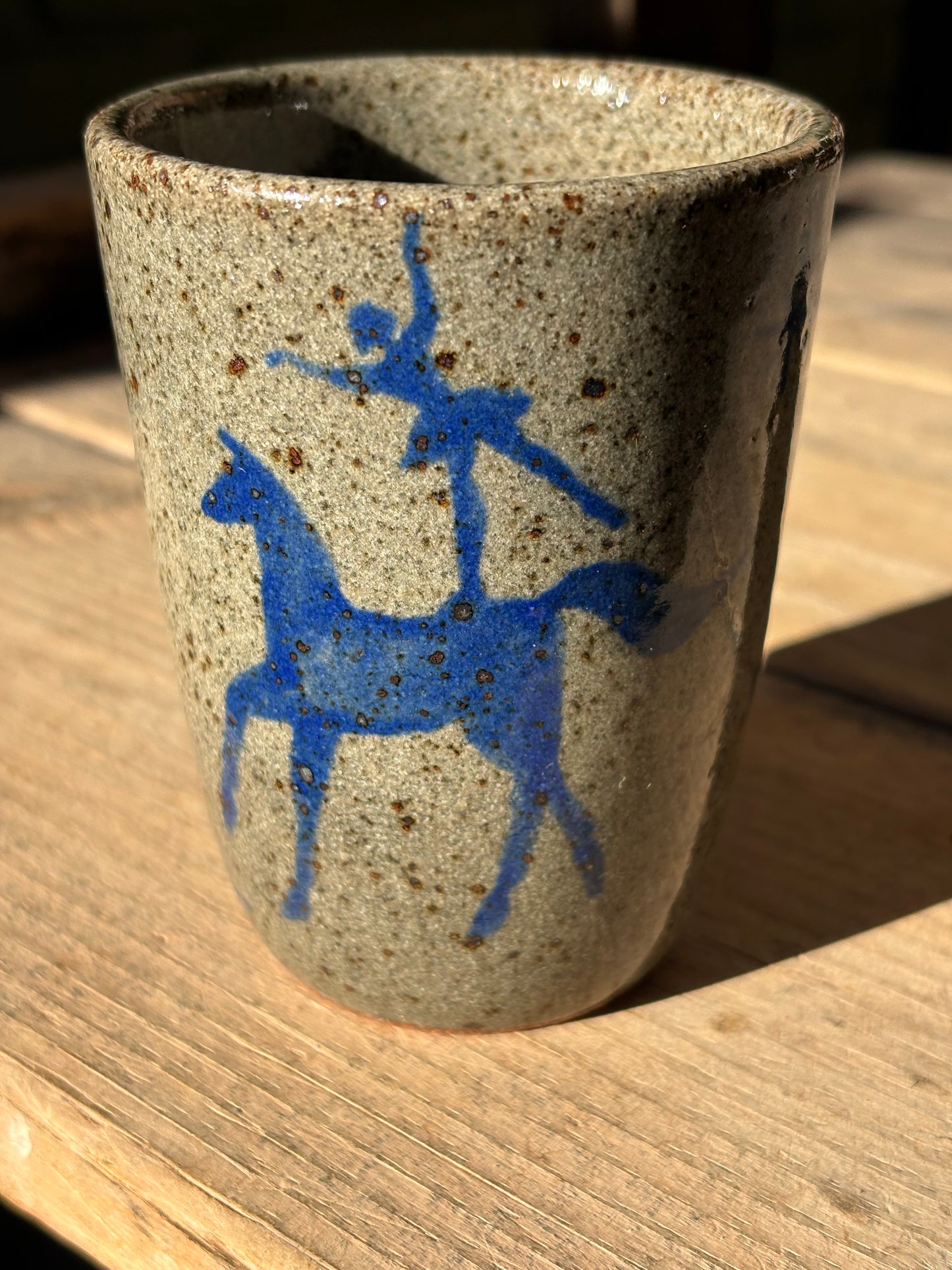 Voltige Riders cup