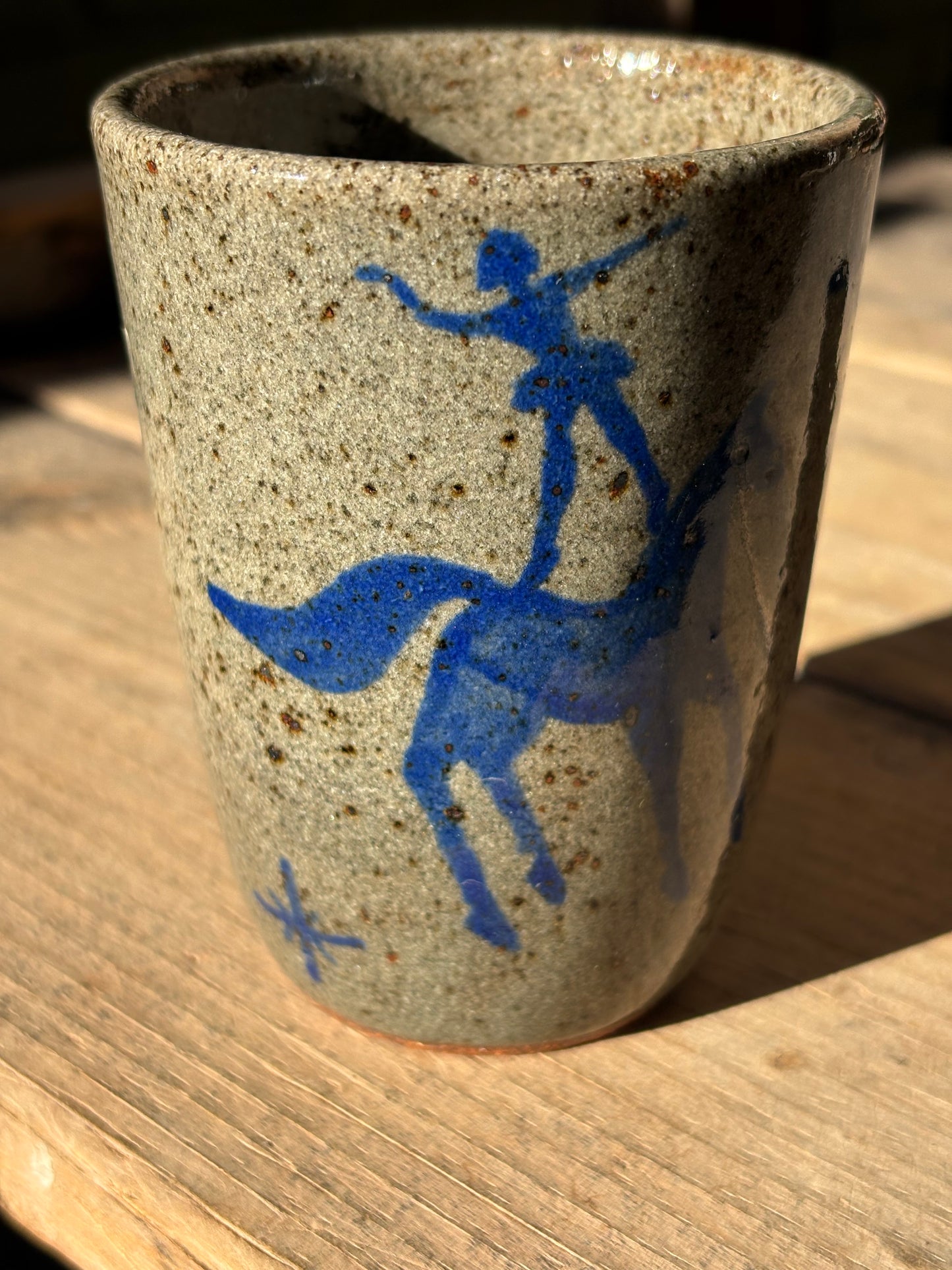 Voltige Riders cup