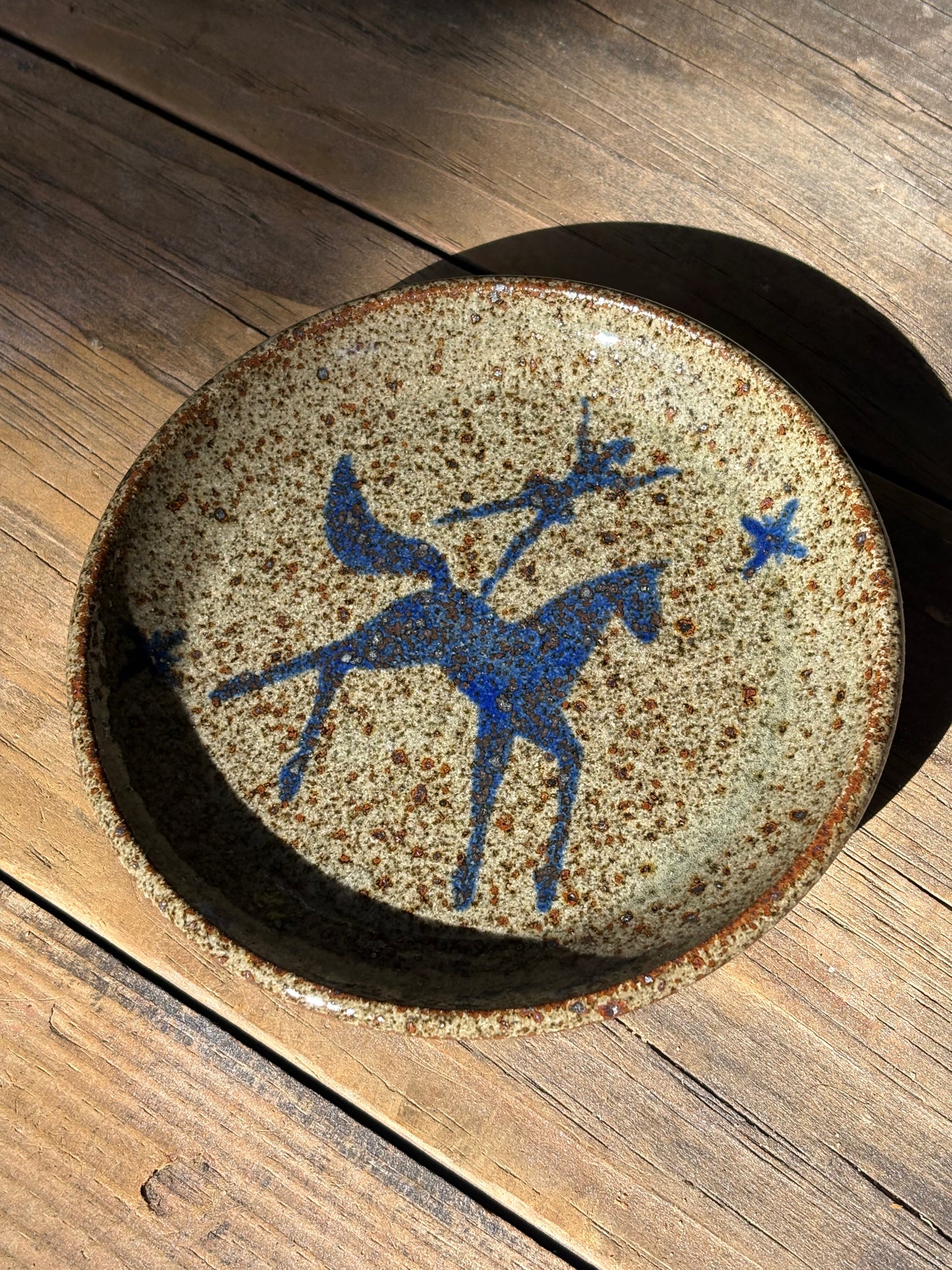 Voltige Rider catchall plate