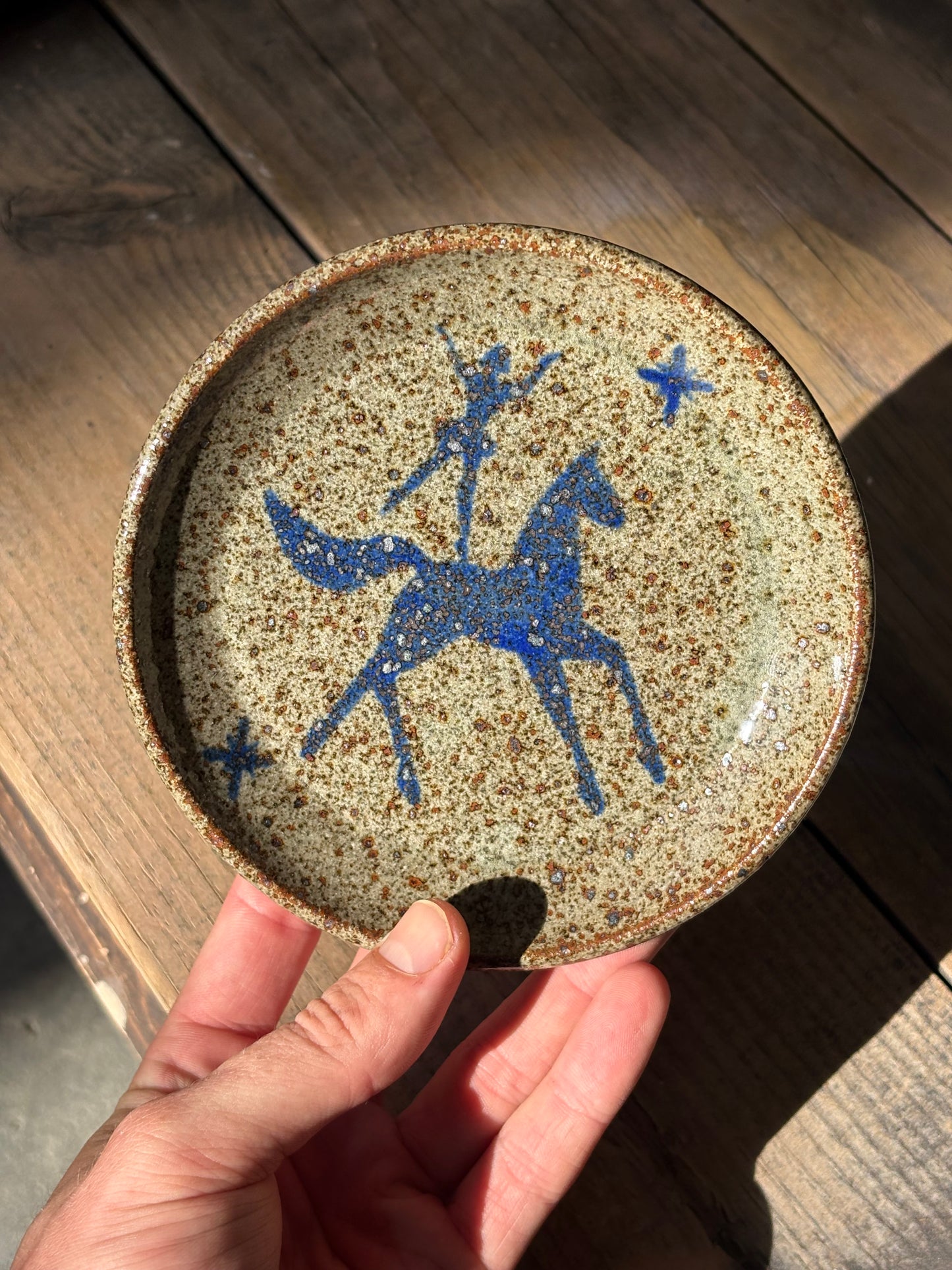 Voltige Rider catchall plate