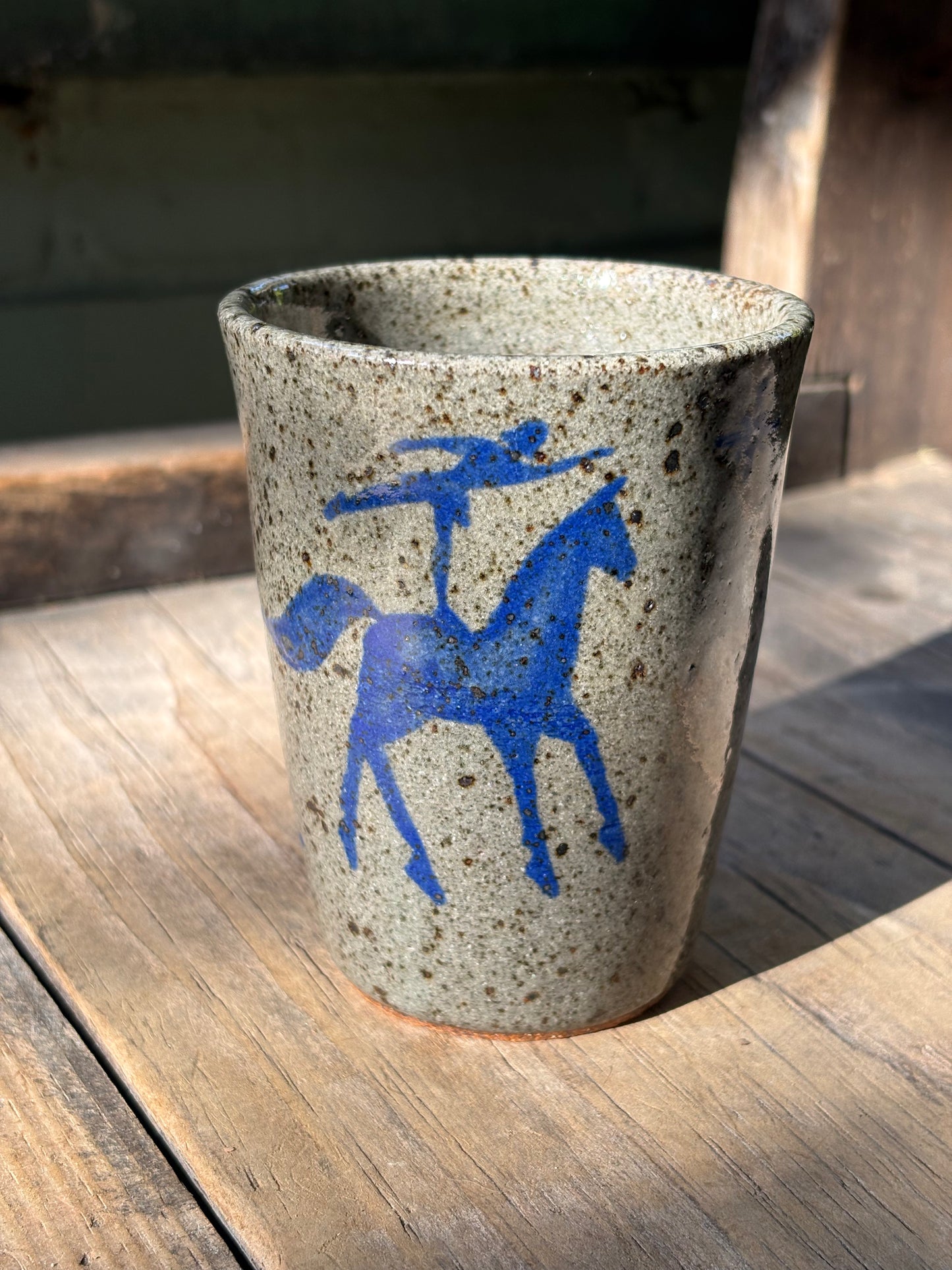 Voltige Riders cup