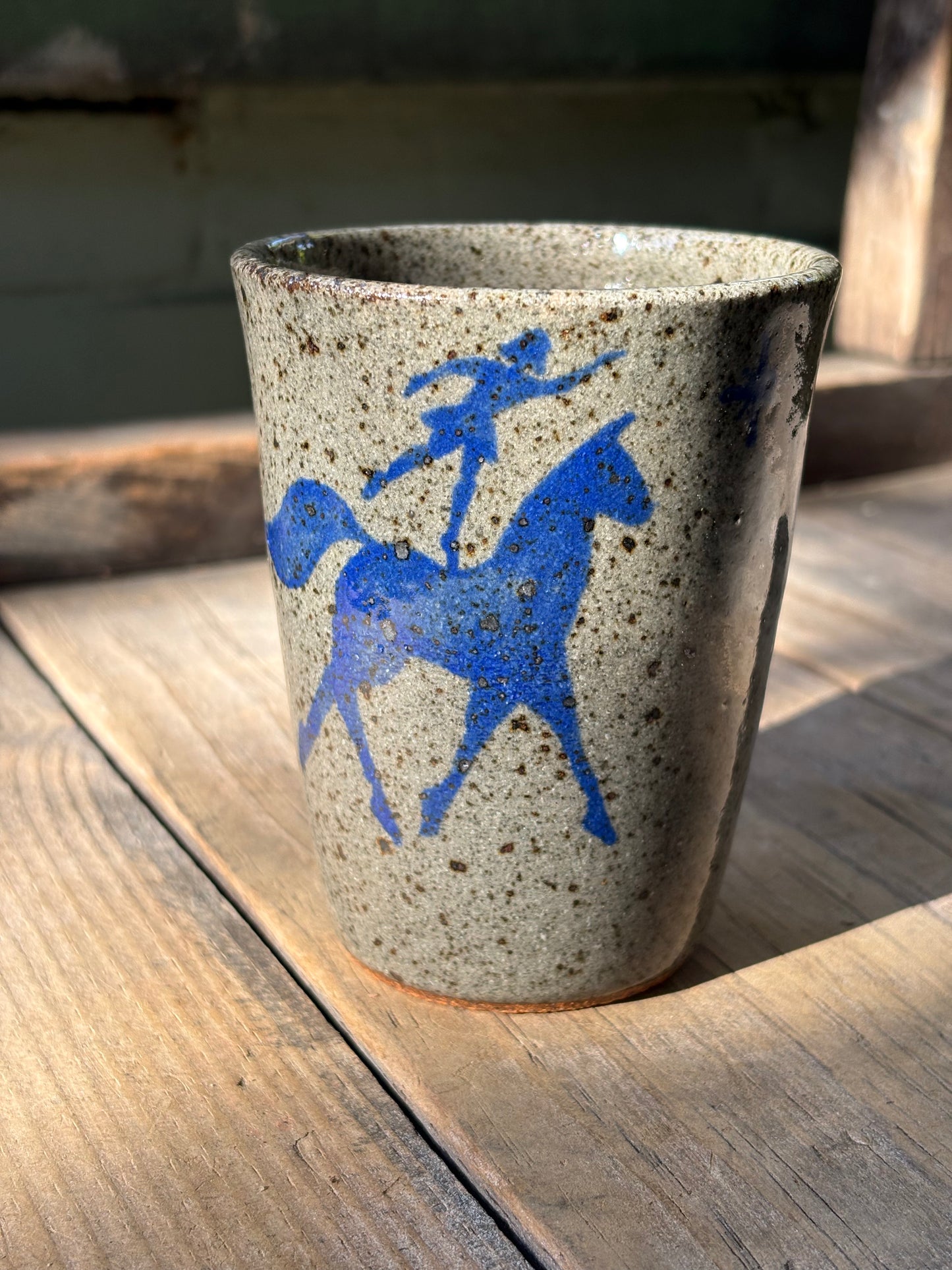 Voltige Riders cup