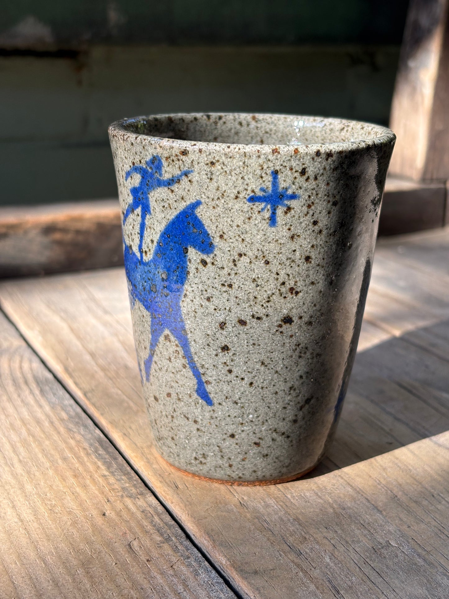 Voltige Riders cup