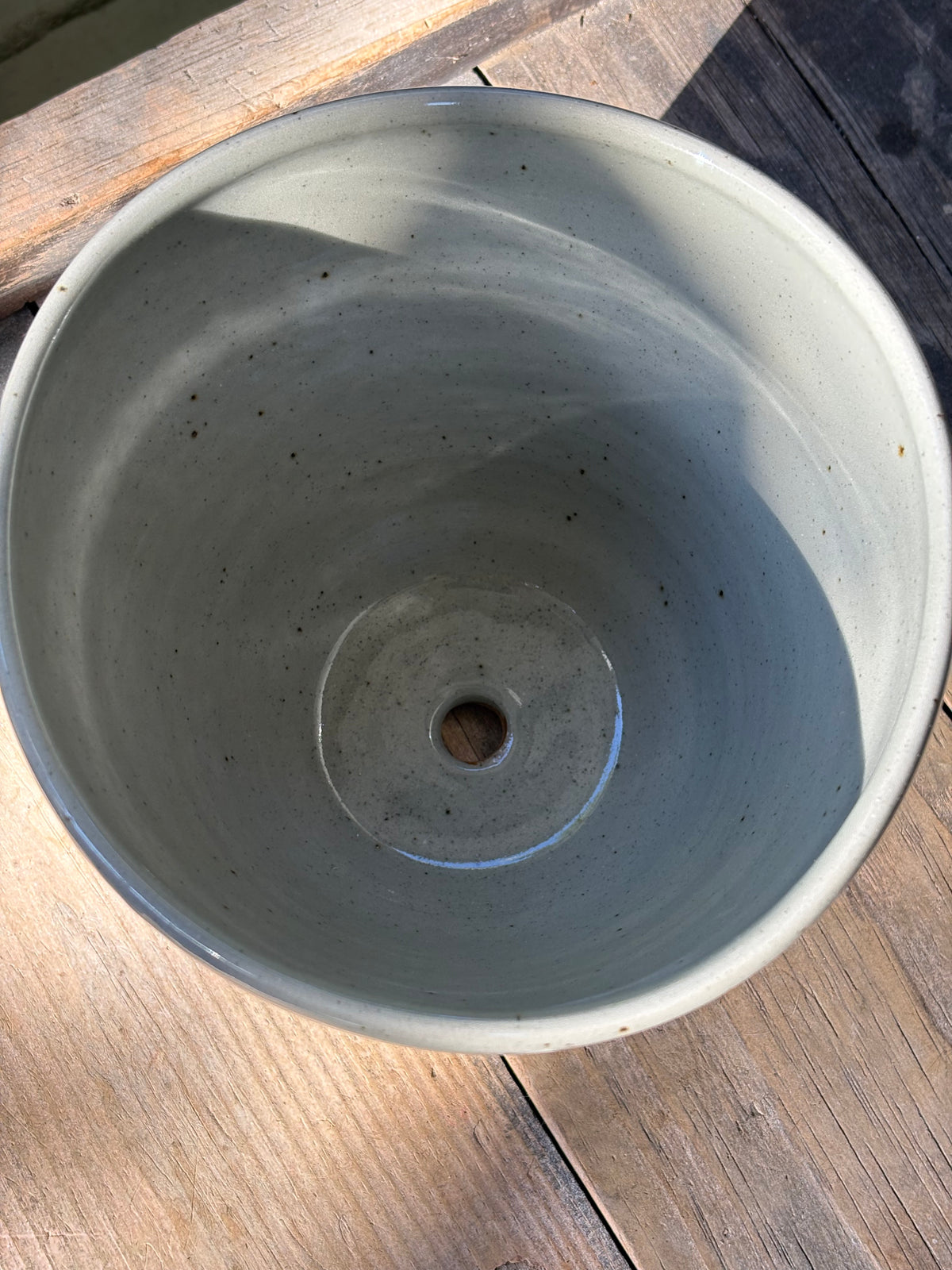 Duck with Duckling planter